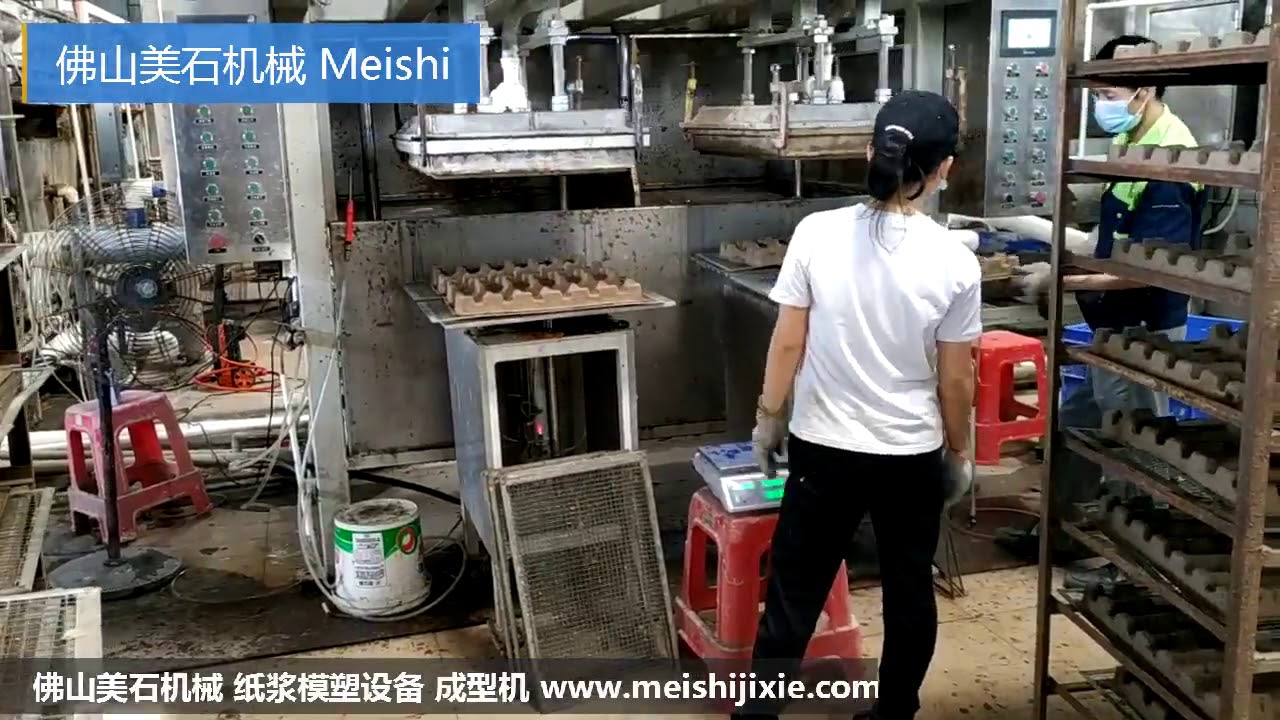 Foshan Meishi pulp molding, forming machine 2