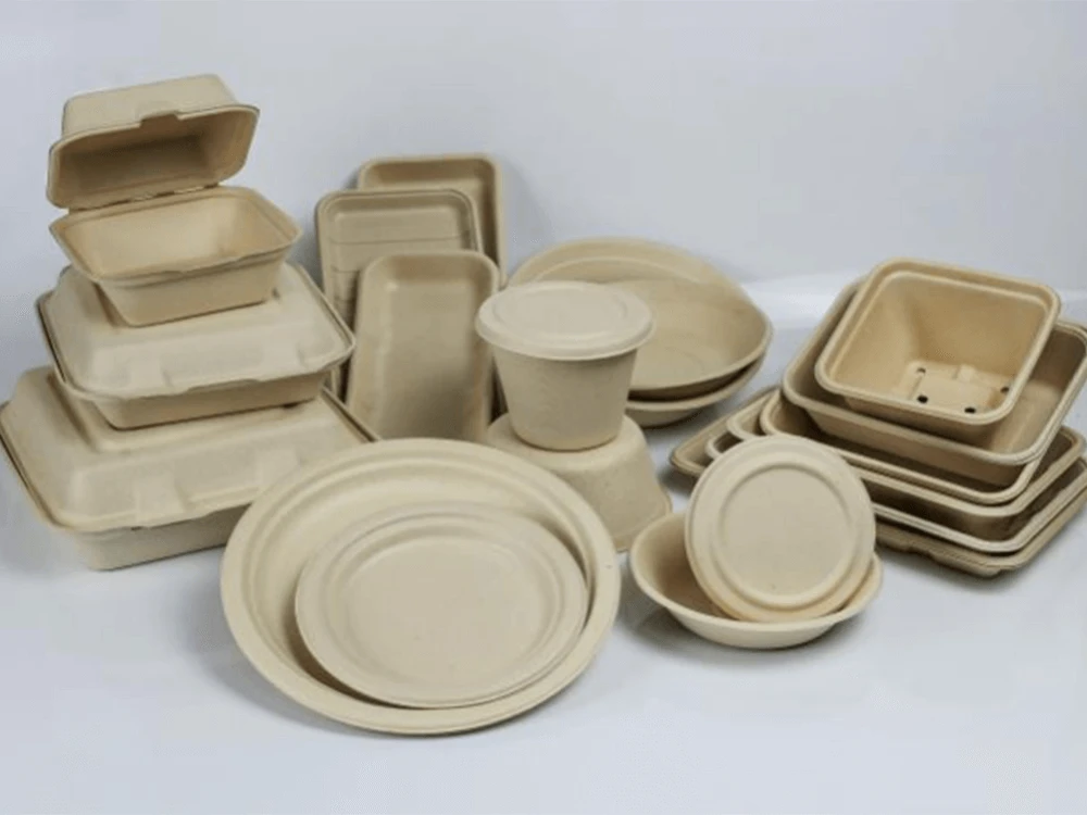 Why Pulp Mold Tableware is the Best Sustainable Option?