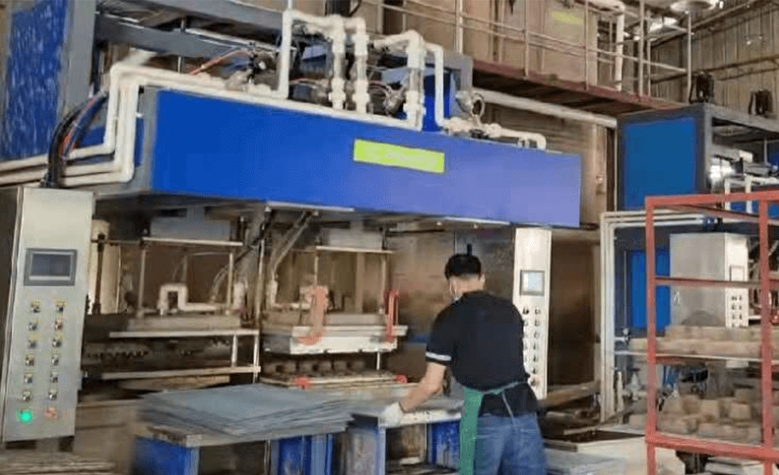 Industrial Packaging Production Equipment - Servo Forming Machine