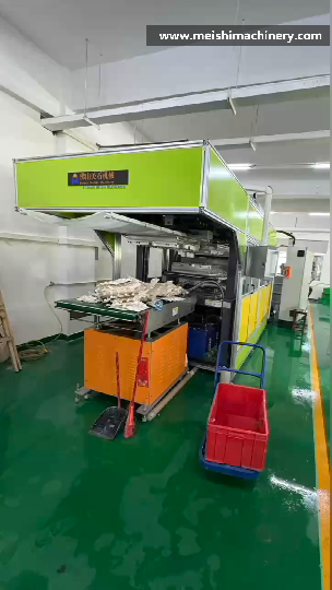 pulp molding automatic production system